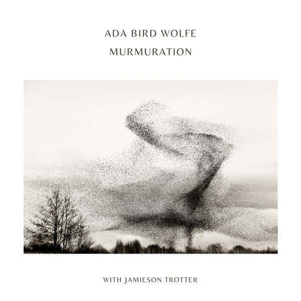 Cover art for Murmuration
